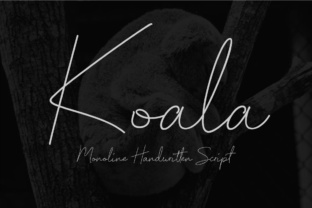Koala Script: The Handwritten Font That Feels Like Home