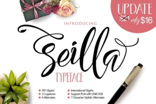 Seilla Script: A Modern Typeface for Creative Projects
